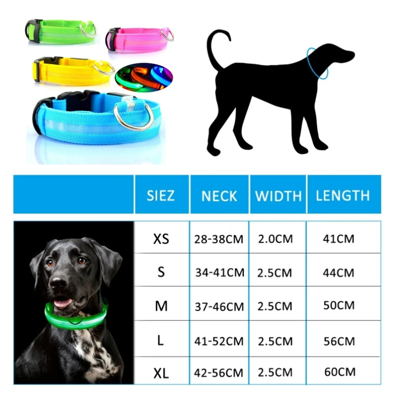 GlowGuard LED Dog Collar - GaKe