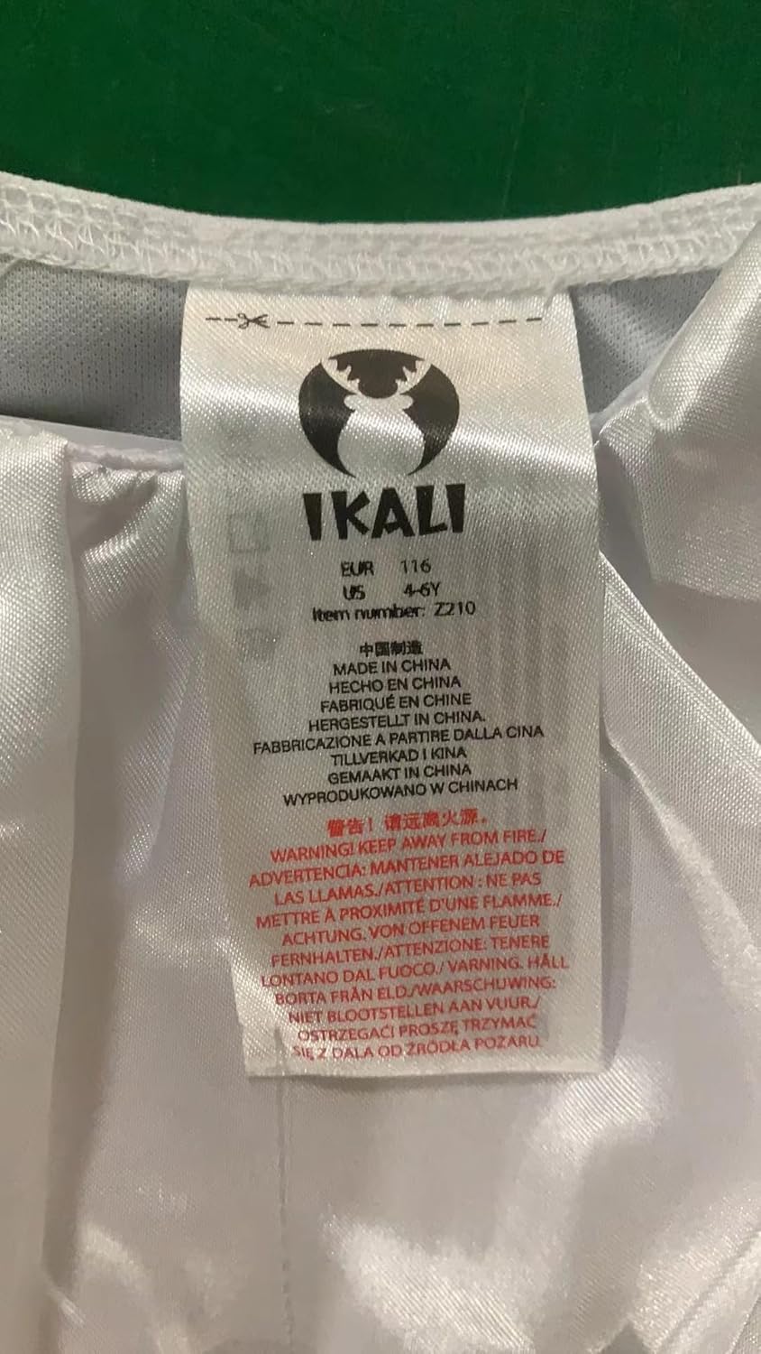 Radiant Angel Costume for Events - GaKe