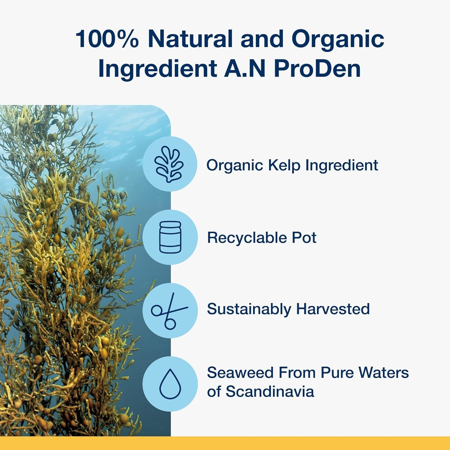 FreshPaws Natural Seaweed Dental Powder - GaKe