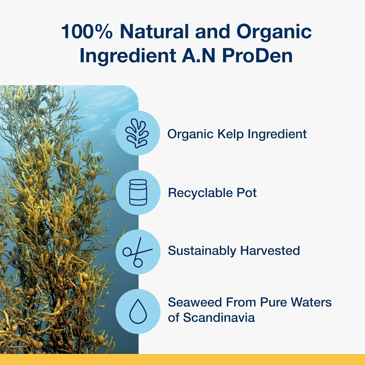 FreshPaws Natural Seaweed Dental Powder - GaKe