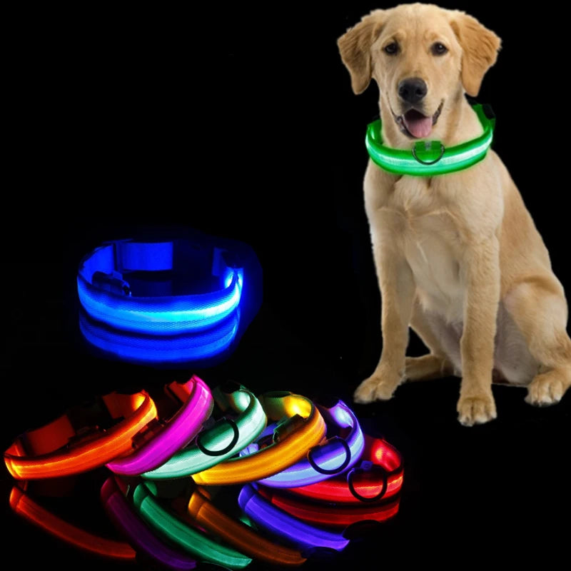 GlowGuard LED Dog Collar - GaKe