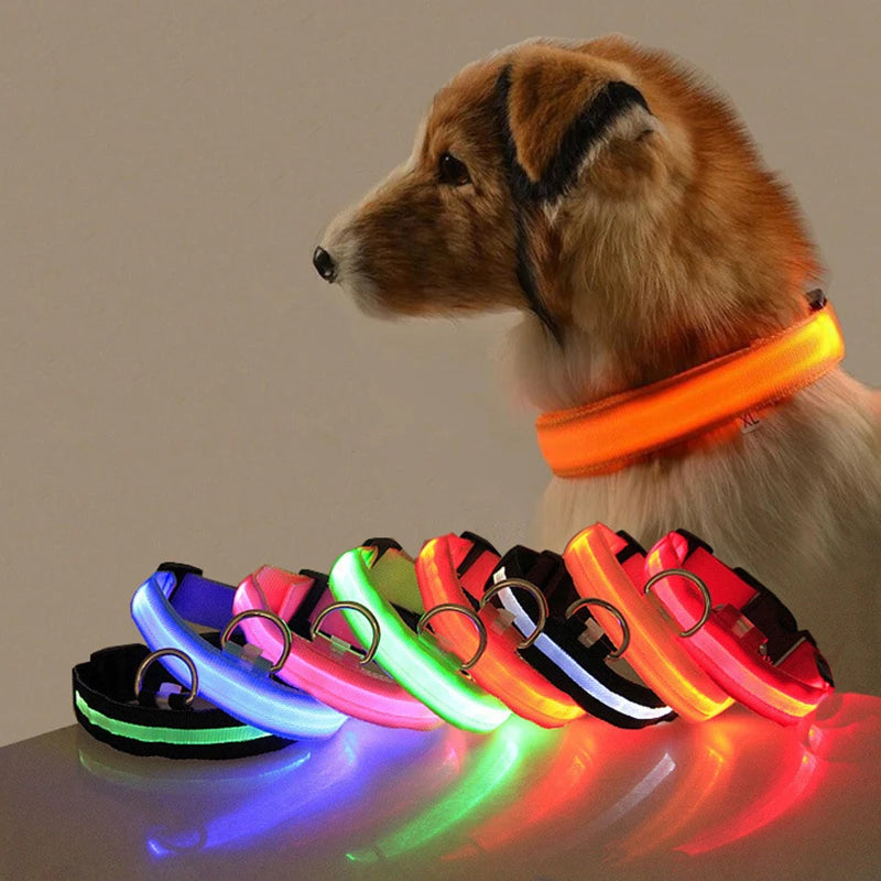 GlowGuard LED Dog Collar - GaKe